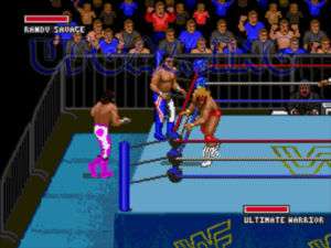 Sega Genesis Game WWE / WWF SUPER WRESTLEMANIA 741062111074  