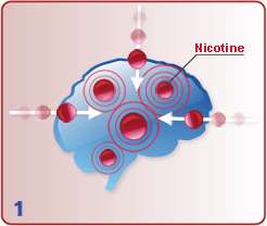 NicRx Helps You Quit Smoking  