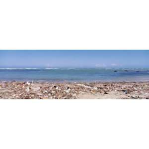 Garbage Dumped on Beach, Puerto Plata, Dominican Republic Photographic 