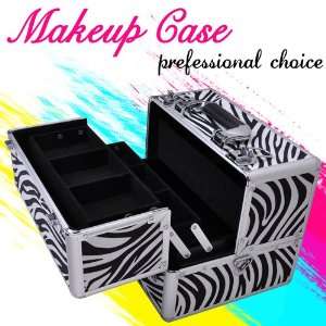 10 Zebra Aluminum Makeup Cosmetic Train Jewelry Case Key Artist 