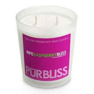  Ripe Raspberry Bliss Soy Candle   Large Jar Everything 