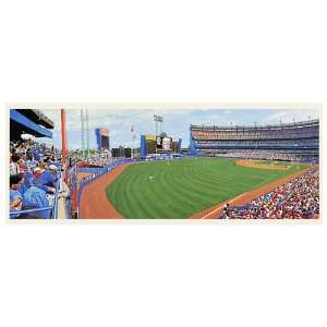  Good Sports Art New York Mets Left Field Corner Lithograph 