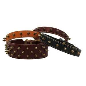 Auburn Leathercrafters Heirloom Spiked Dog Collar Tan 1 x 18  